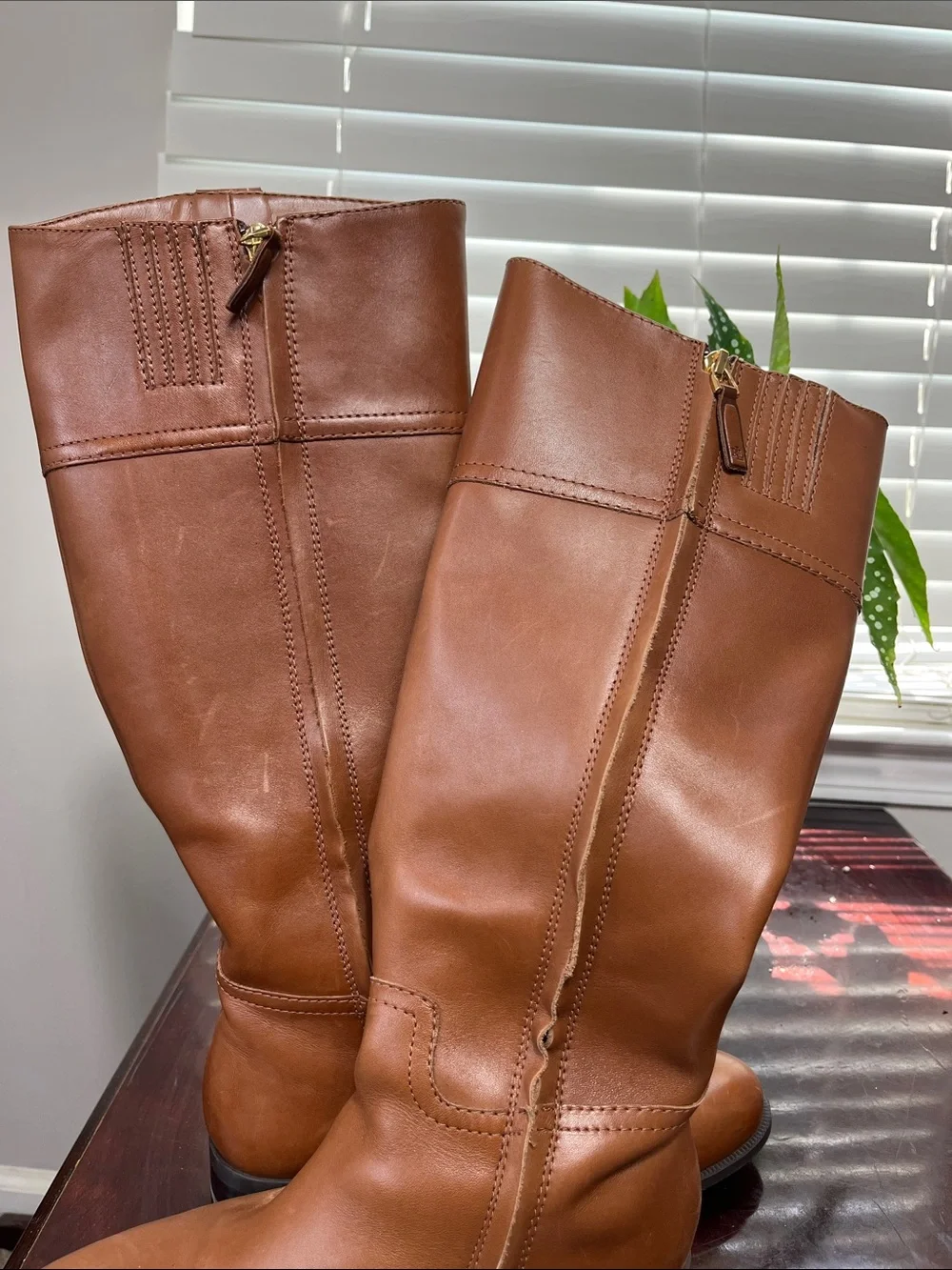 N/A classic brown